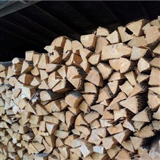Mesh bag of Kiln Dried Firewood Logs