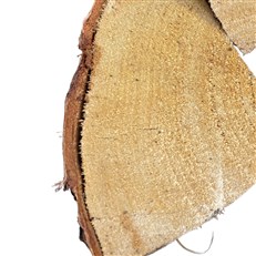 60L Boot Bag of Kiln Dried Birch Firewood Logs