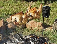 Grizzly Spit Fire Pit BBQ Rotisserie